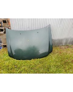 2002 Ford F150 Hood